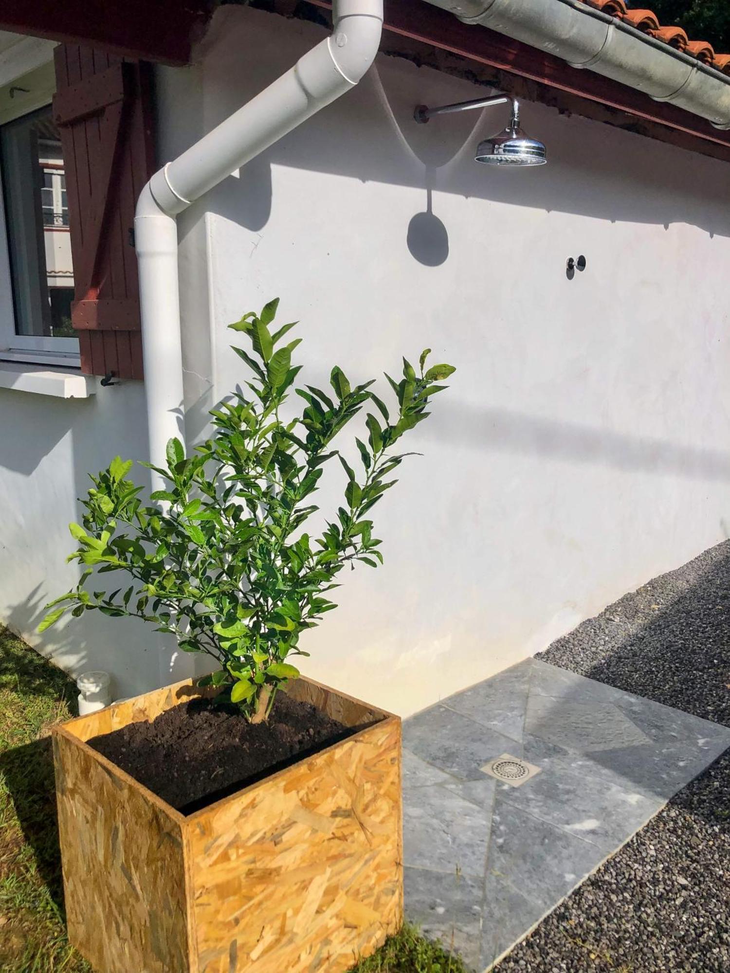 L'Adret Du Bois Hotel Sames Bagian luar foto